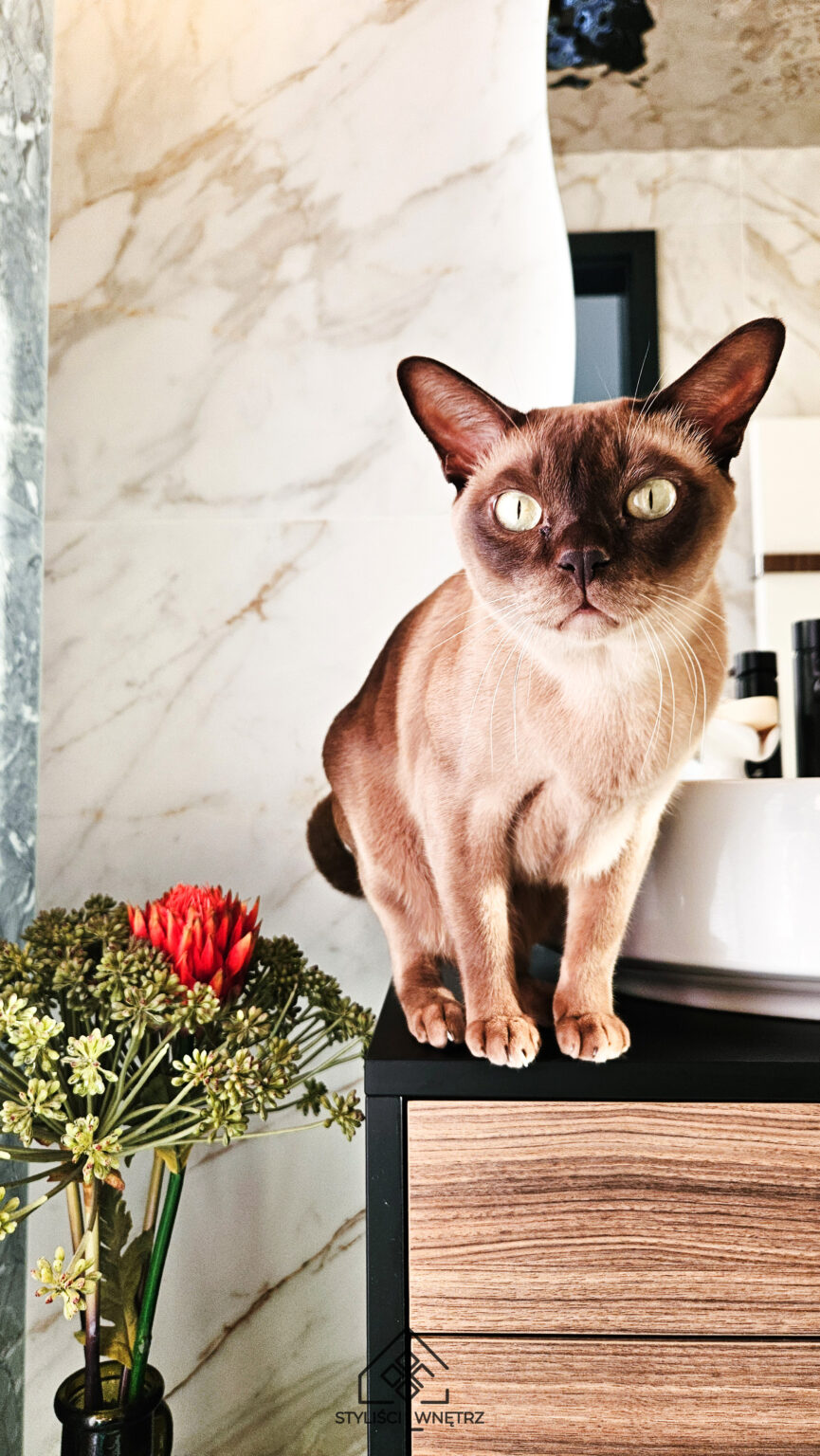 Salon projekt - Projektowanie wnętrz intuicyjnych Katowice - Vibe Designer